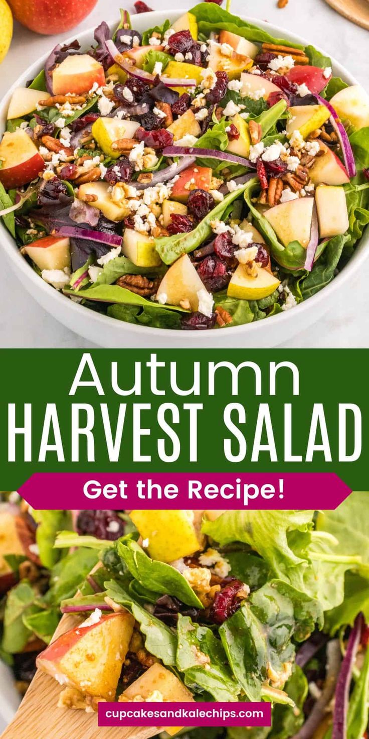 an autumn harvest salad with apples, cranberries and feta cheese on top