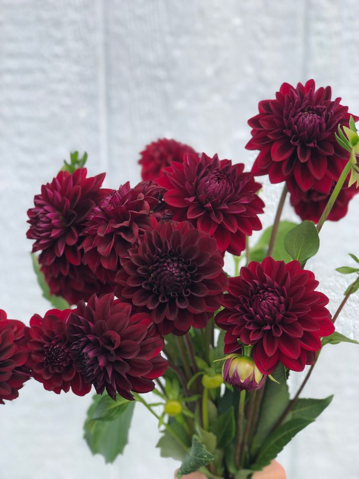 a vase filled with red flowers sitting on top of a wooden table next to a white wall