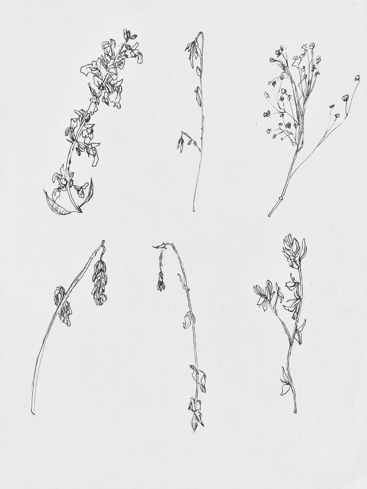 four different types of flowers are shown in black and white