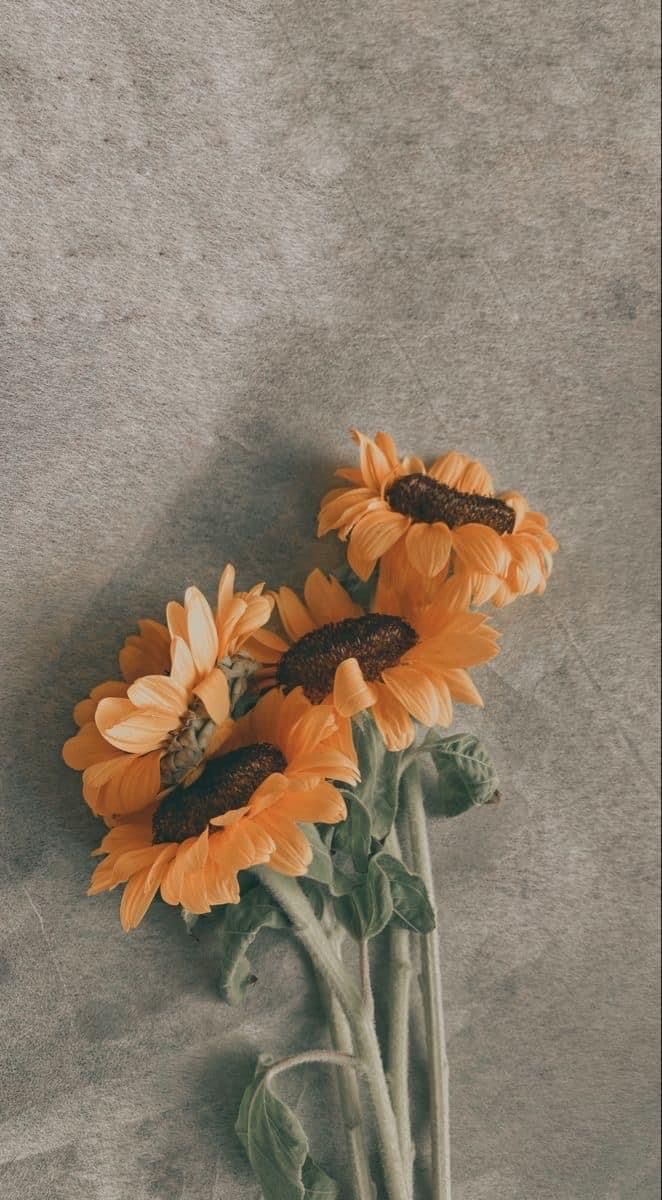 three yellow sunflowers are in a vase on the floor next to each other