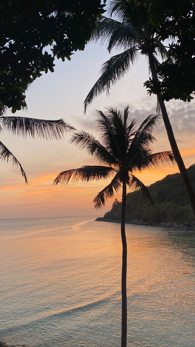 the sun is setting behind two palm trees by the water's edge, with a boat in the distance