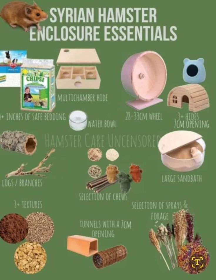 an image of the contents of a hamster's house and other things to eat