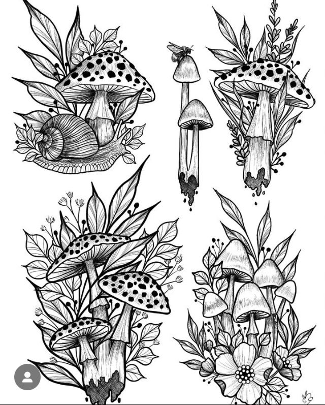 an ink drawing of mushrooms and flowers