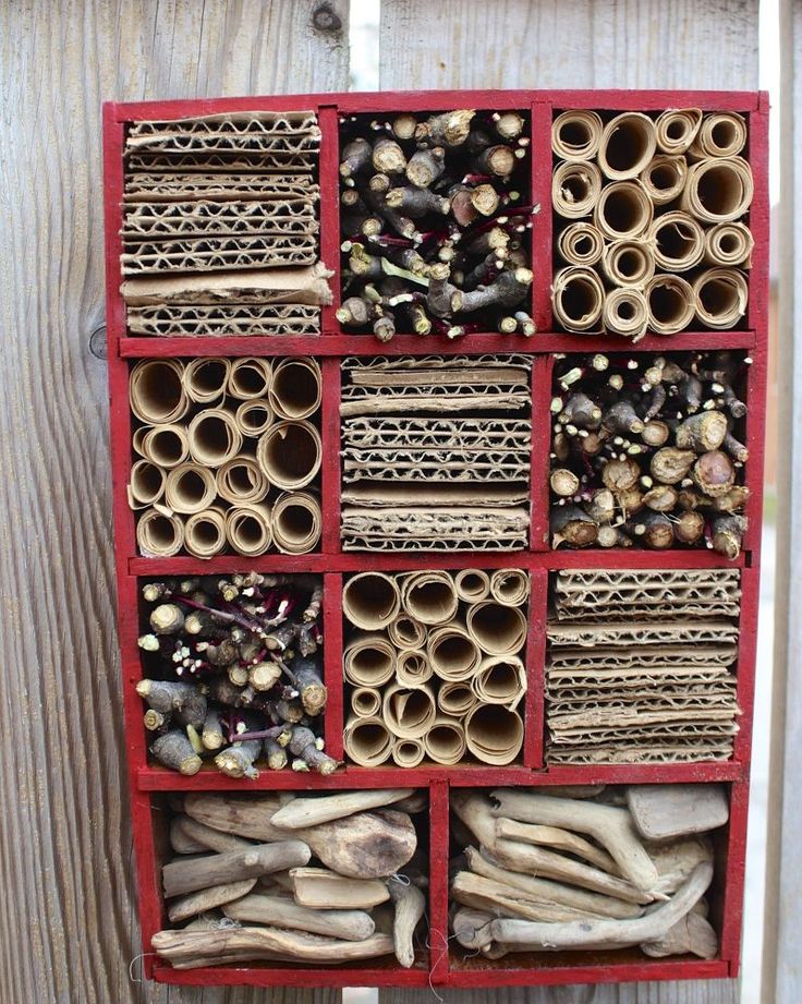 a red box filled with lots of different types of insect boxes on top of a wooden fence