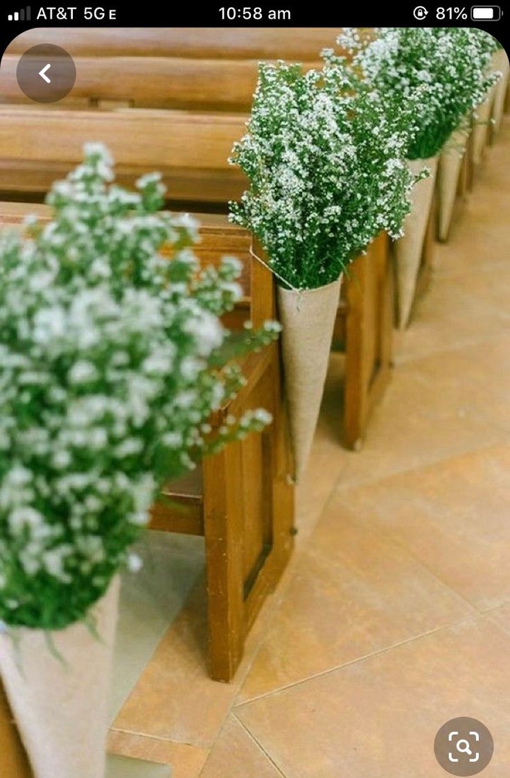 three vases with baby's breath flowers are lined up on the pews