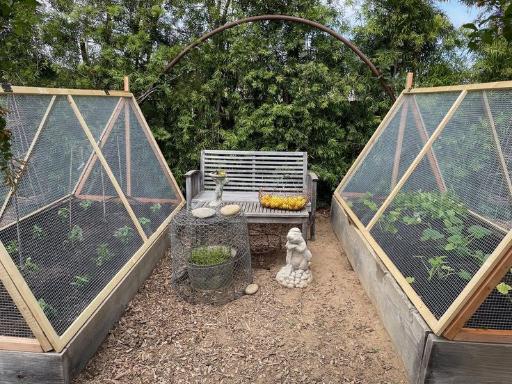 an outdoor area with several different types of plants and animals in the area, including a bench