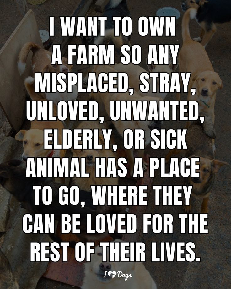 several dogs are lined up in a circle with the words i want to own a farm so any misplaced, unwanted