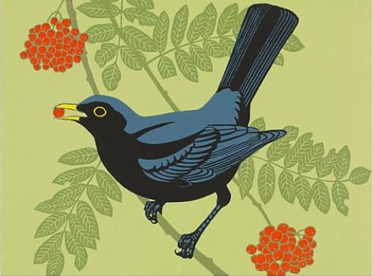 a black bird sitting on top of a tree branch next to berries and green leaves