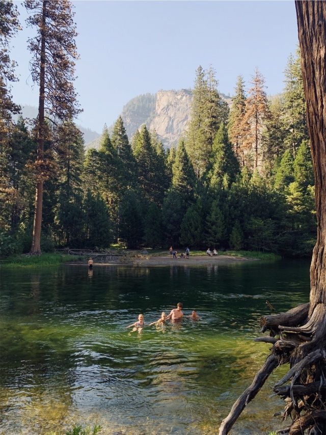 people swimming in a lake surrounded by trees