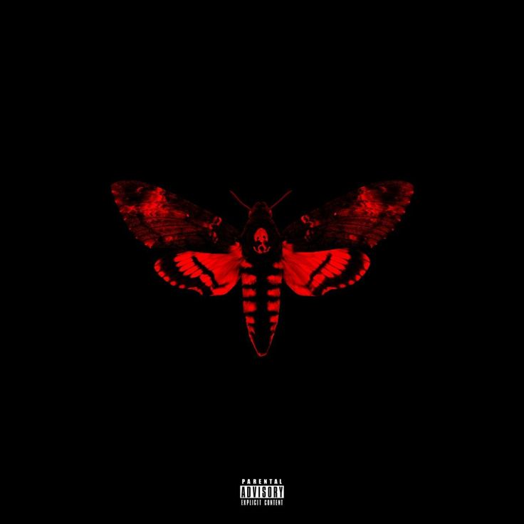 a dark background with a red butterfly on it's back and the words, i am