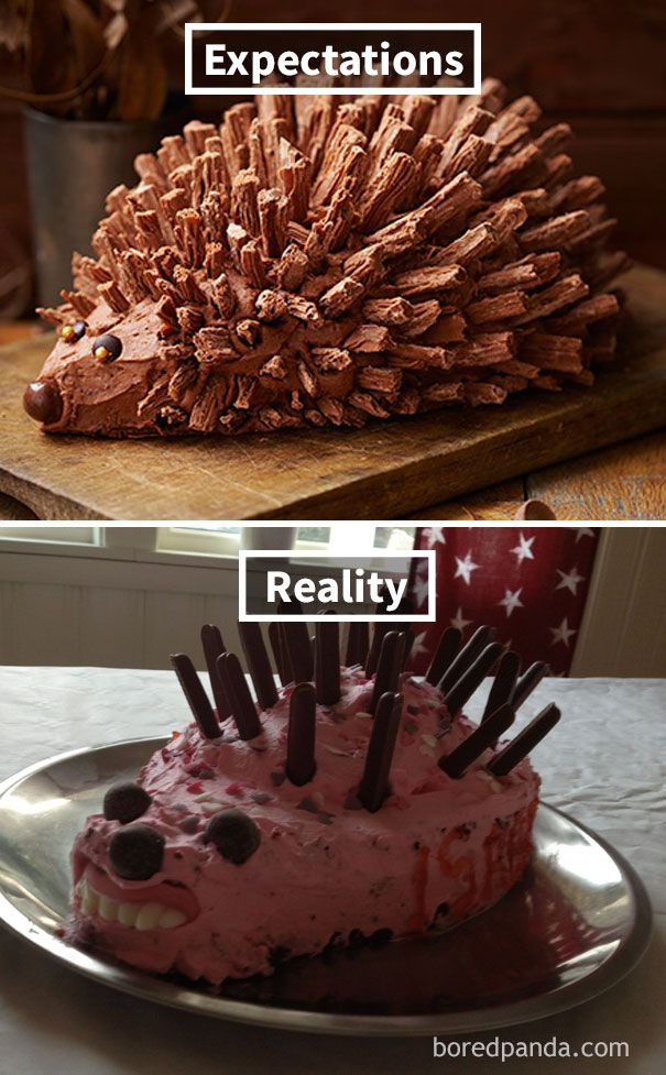 a hedgehog cake on a plate next to an american flag cake with chocolate sprinkles