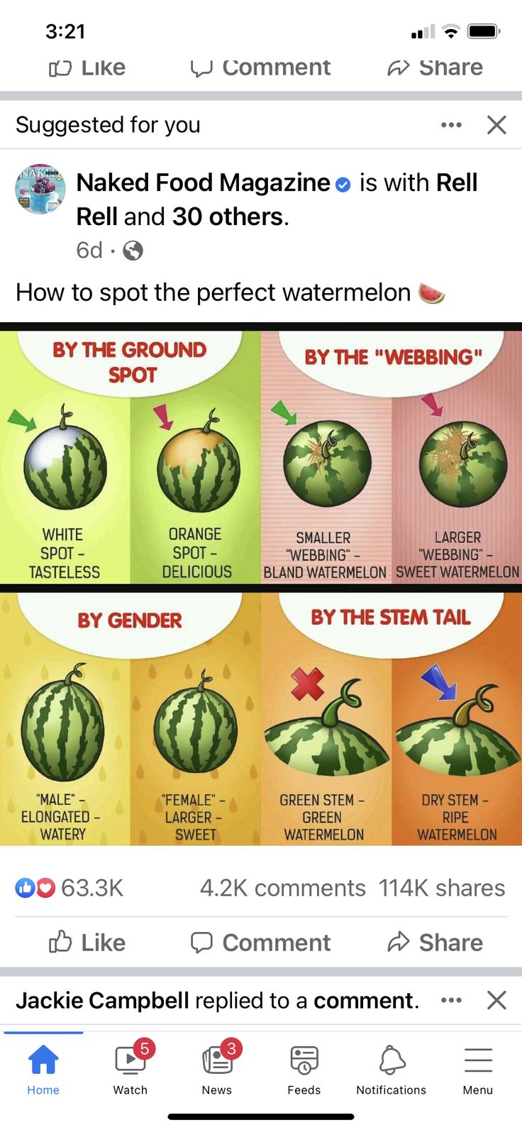 an image of watermelon on facebook