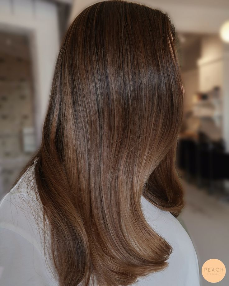 Rich Brown Dimensional Hair, Balayage Straight Hair, Brown Hair Looks, Brown Hair Inspo, Brunette Hair With Highlights, Brown Hair Balayage, Haircuts Straight Hair, Hair Inspiration Color, Hair Inspo Color