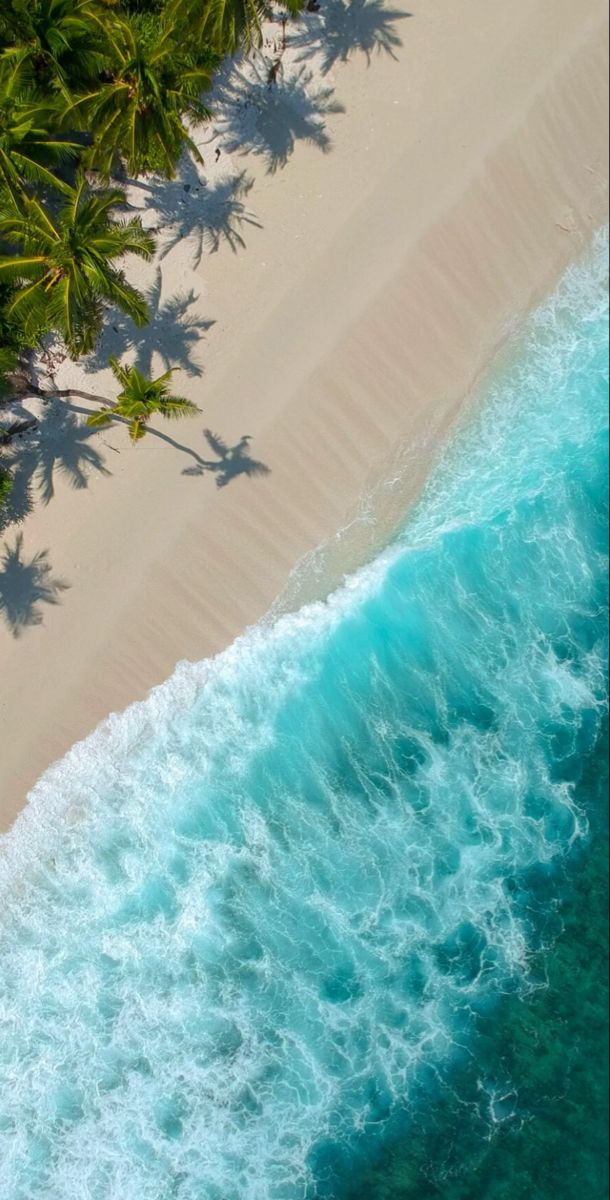 an aerial view of the ocean and beach with palm trees