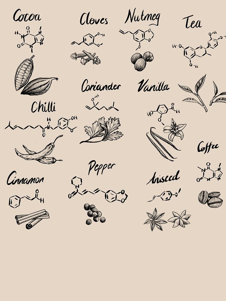 the different types of spices are shown in black ink on a beige background, including pepper, cinnamon, turment, and cloves