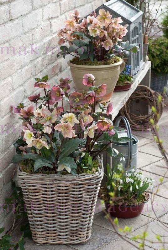 several potted plants sitting on top of a wooden bench next to a brick wall