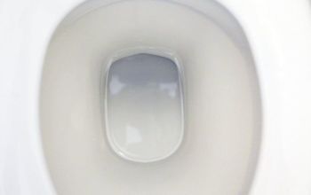 a close up view of a toilet seat with the lid open and water in it