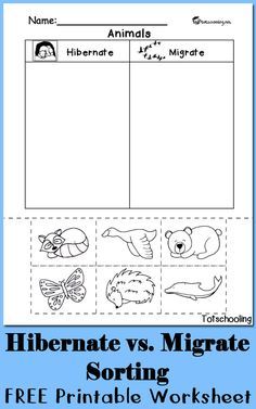 a printable worksheet to help students learn how to write and draw animals