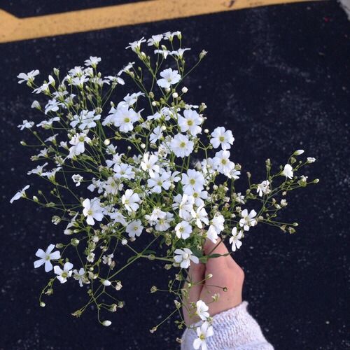 a person holding a bouquet of white flowers