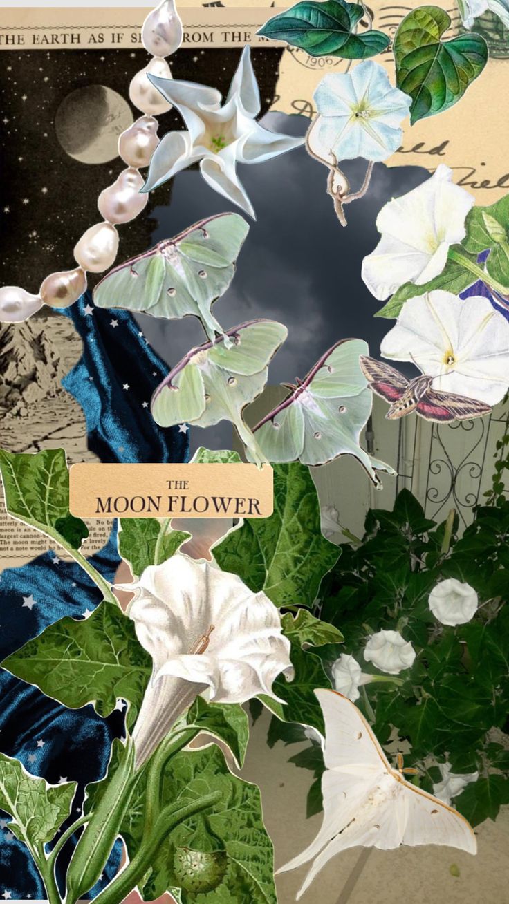 a collage of flowers and leaves with the moon in the sky above them on top of newspaper pages