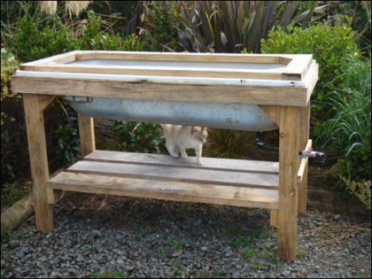 a cat is standing in front of a potting planter on a wooden stand