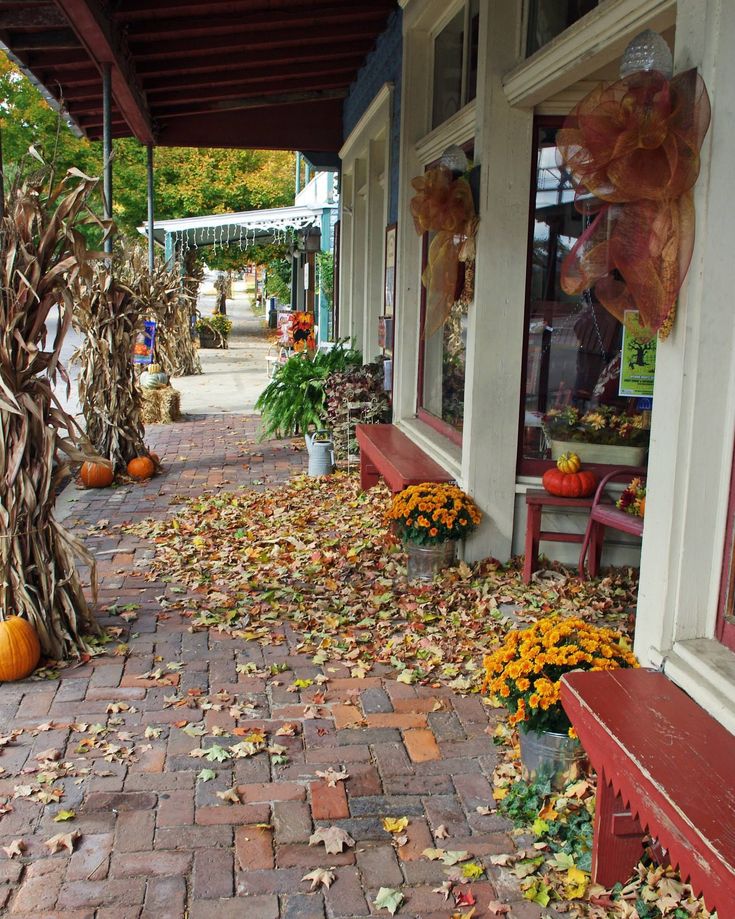 a brick walkway with fall leaves on the ground