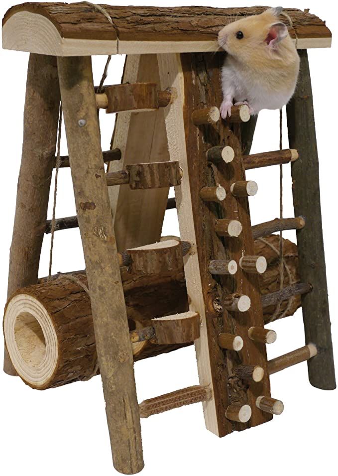 a hamster climbing up the side of a wooden ladder