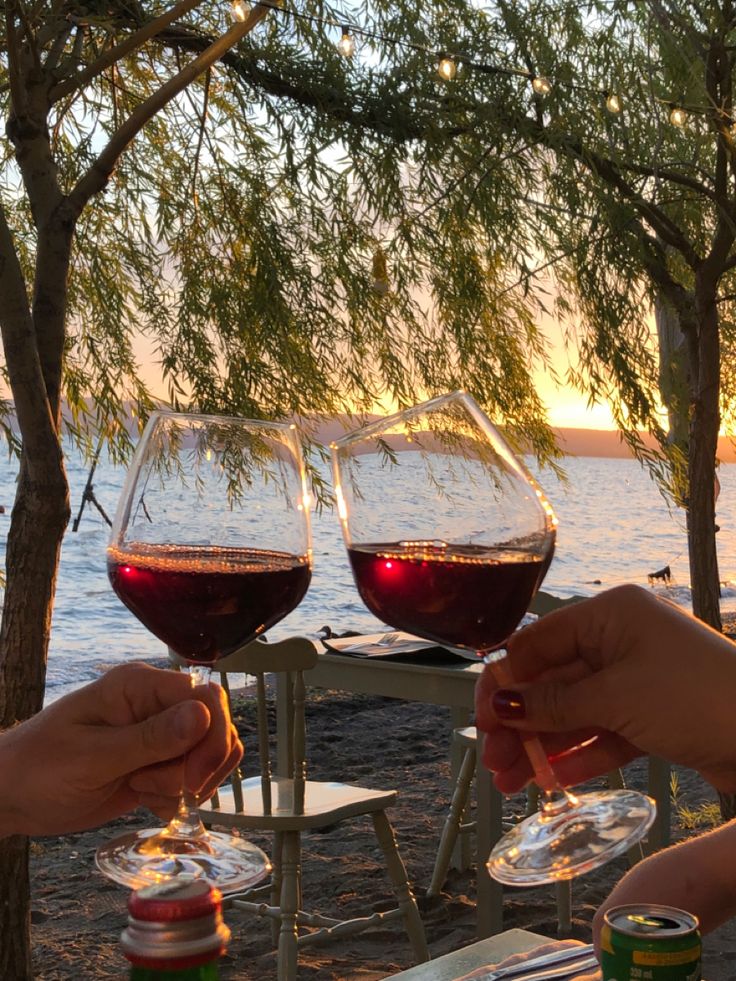 two people toasting with red wine in front of the water and trees at sunset