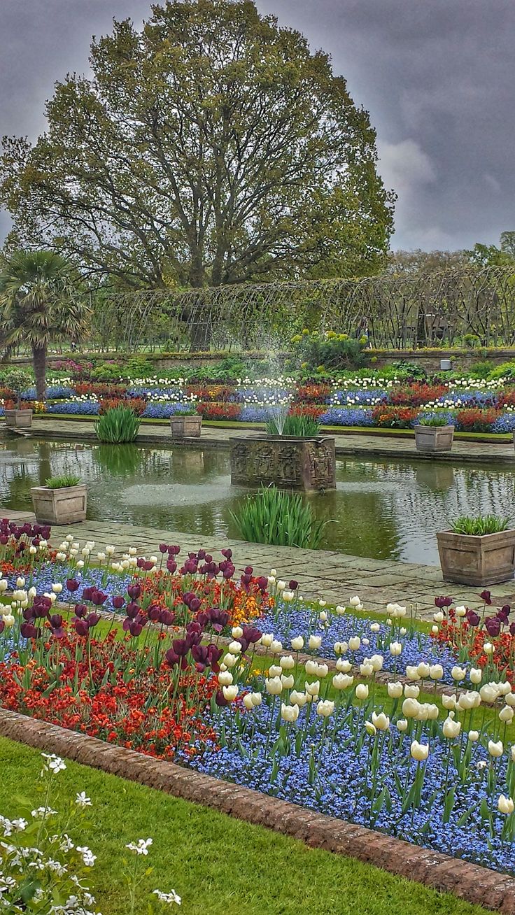 a garden filled with lots of colorful flowers next to a lush green park covered in trees