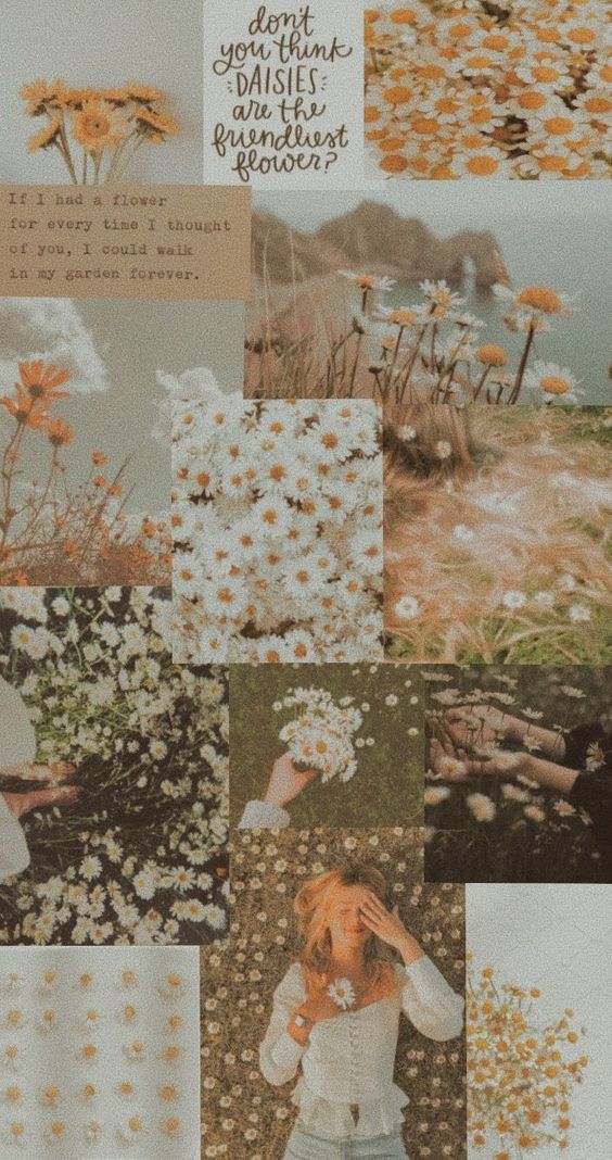 a collage of photos with daisies and flowers