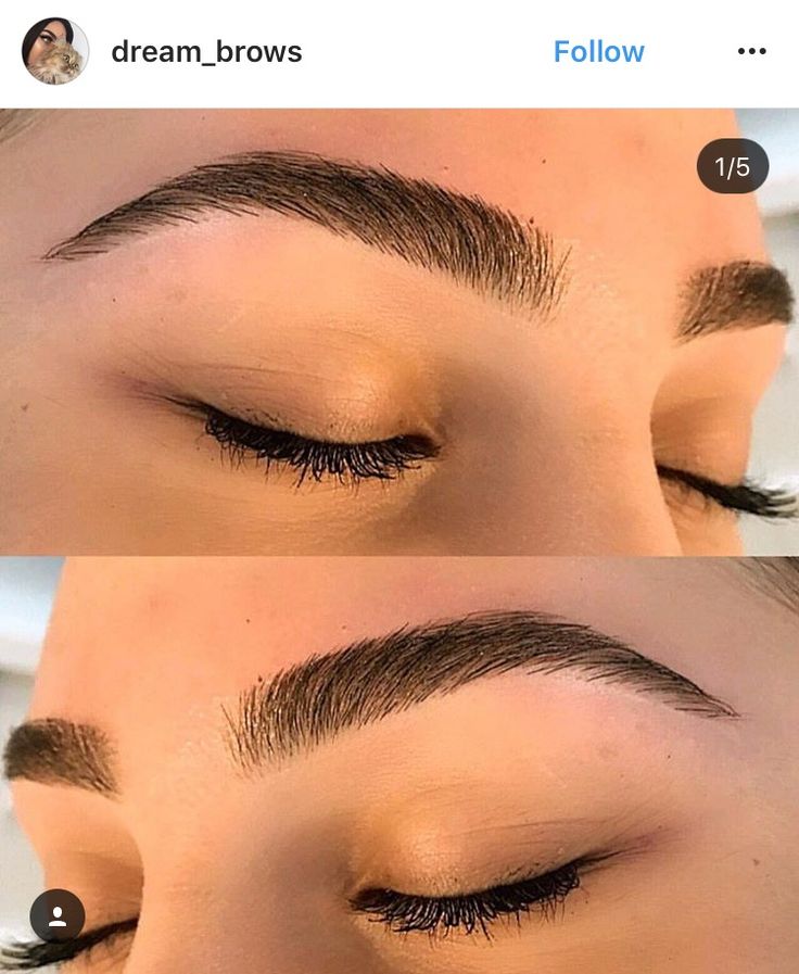 Soft Curved Eyebrows, Eyebrow Inspiration Natural, Eyebrow Shape Ideas, Eyebrow Goals Natural, Great Eyebrows, Brow Inspo Natural, Uneven Nostrils, Eyebrow Pictures, Eyebrow Shapes For Round Faces