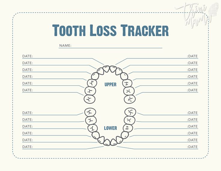 a tooth loss tracker with teeth in the shape of a circle and numbers on each side