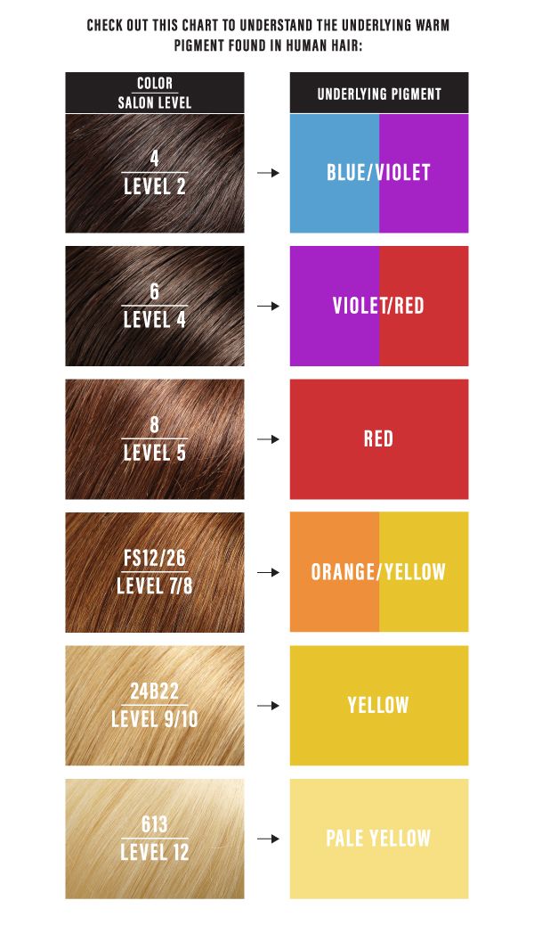 Underlying Pigment Chart, Hair Color Level Chart, Natural Level 8 Hair Color, Hair Color Levels 1-10 Chart, Hair Color Number Chart, Hair Level Chart, Level 8 Hair Color, Hair Color Theory, Professional Hair Color Chart