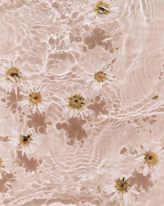 an image of water with flowers on it