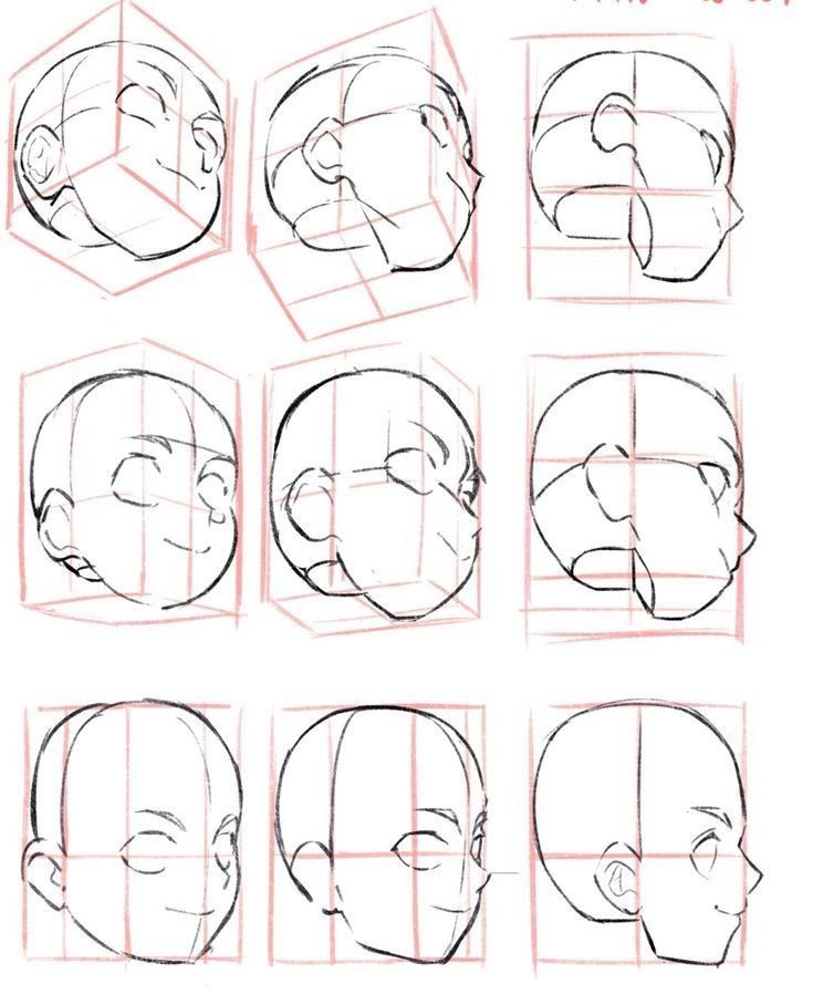 how to draw the head and shoulders in different ways, with instructions for beginners