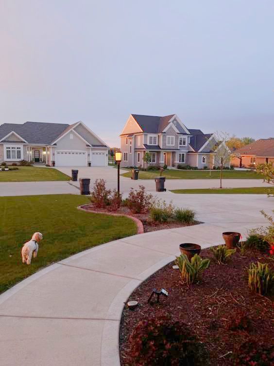 a dog is standing on the sidewalk in front of some houses and lawn with potted plants