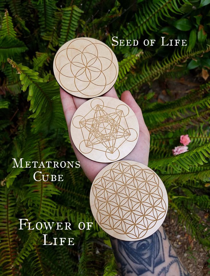 Symbol Of Creation, Architectural Orders, Metatron's Cube, Sacred Geometry Symbols, Metatrons Cube, Geometric Tattoo Design, Sacred Architecture, Seed Of Life, Crystal Grids