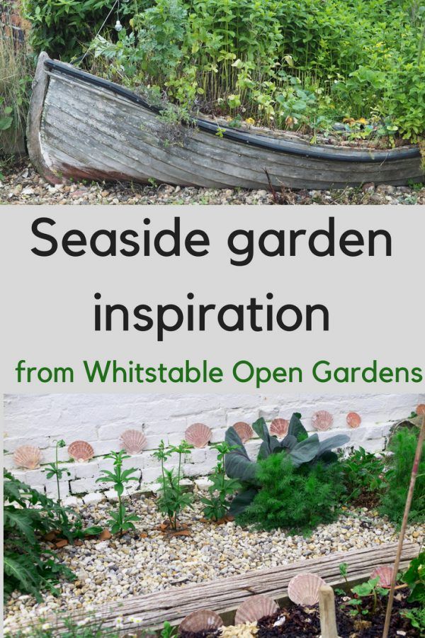 the cover of seaside garden inspiration from whitstable open gardens, with an old boat in the background