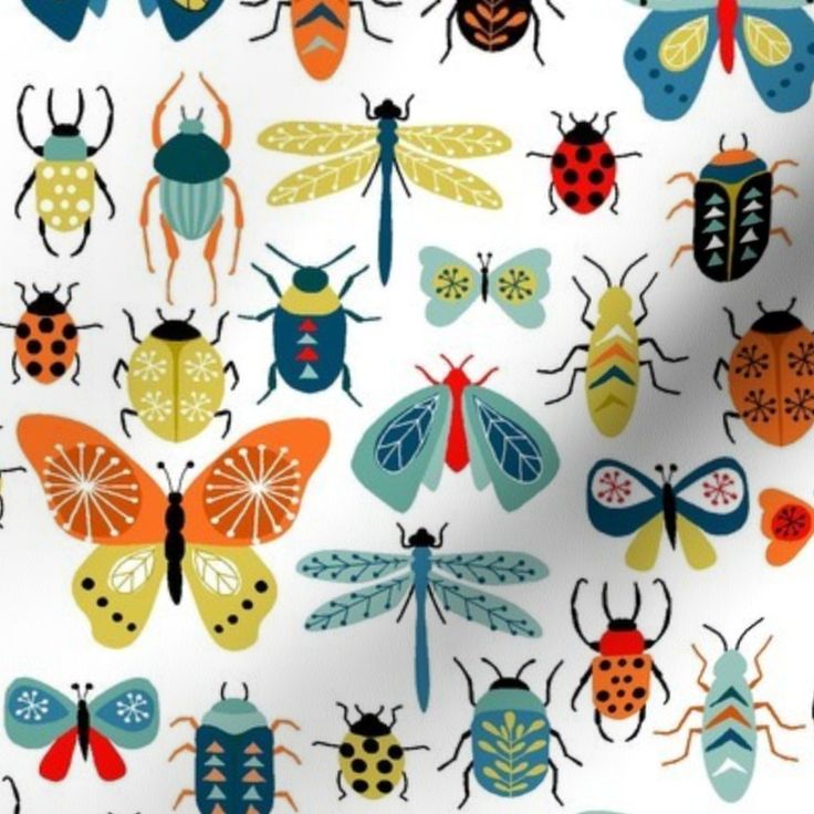 an image of colorful bugs and insects on white background with blue, green, yellow, orange