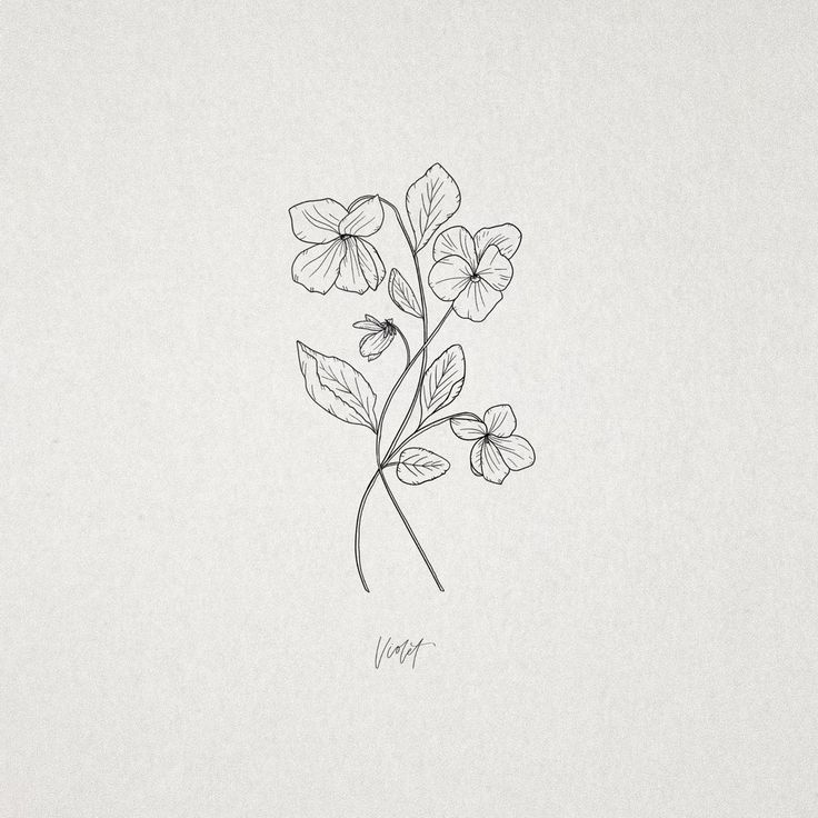 a drawing of some flowers on a white paper