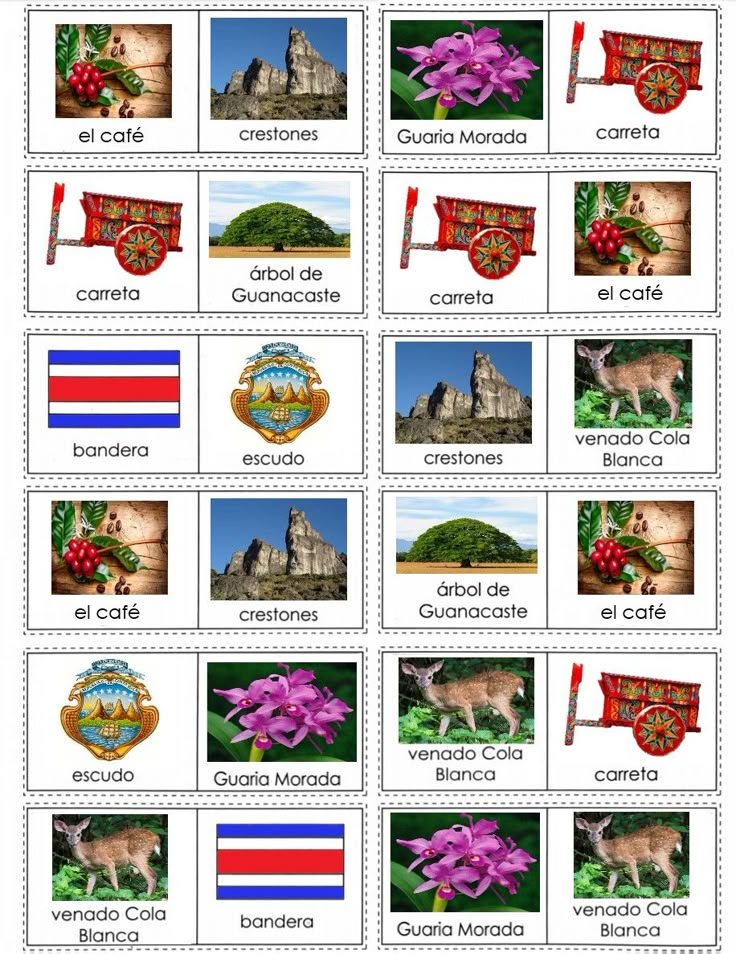 the spanish language flash cards with pictures of different countries and their flags, including an image of