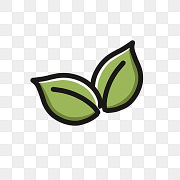 two green leaves on a white background, icon, leaf, plant png and psd