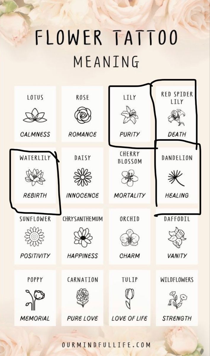 the flower tattoo meaning chart with flowers on it and text overlaying each image