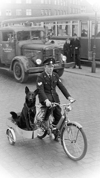 a black and white photo of a man riding a bike with a dog in the back