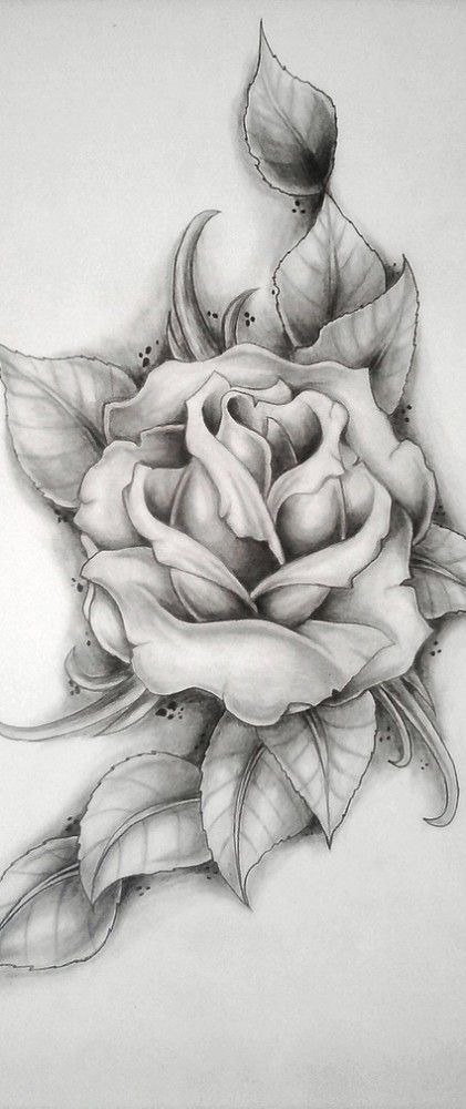 ⚓❤🍀🌏 Drawing Of A Rose, Anklet Tattoo, Rose Drawing Tattoo, Anklet Tattoos, Rose Drawing, Roses Drawing, Hip Tattoo, Pencil Art Drawings, Foot Tattoos