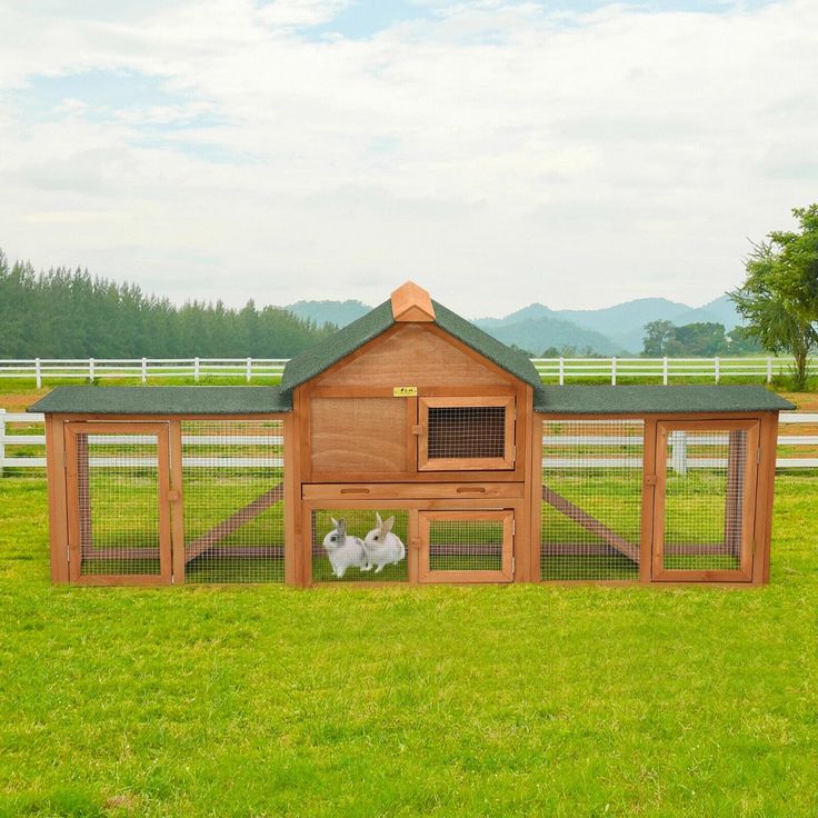 two rabbits sit in front of a chicken coop