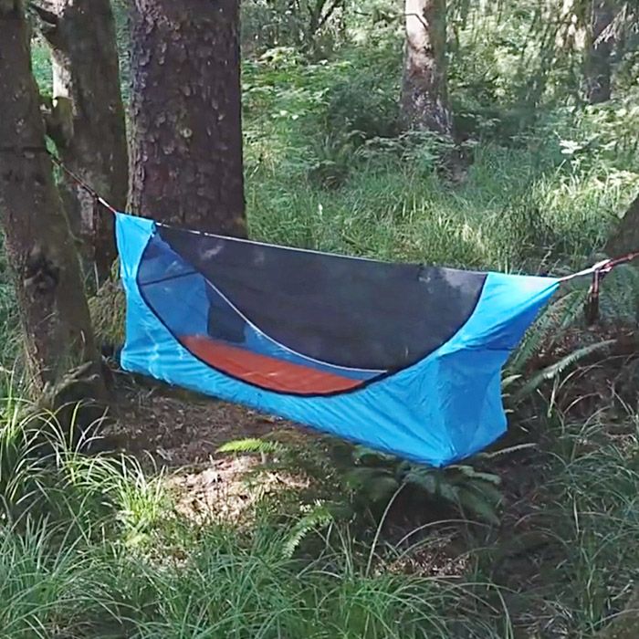 a blue and black tarp hanging from a tree in the woods with grass around it