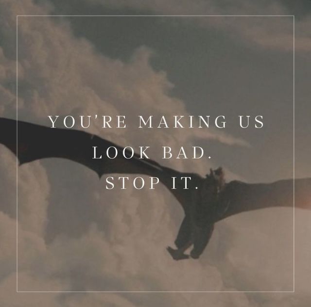 a dragon flying through the sky with a caption that reads, you're making us look bad stop it