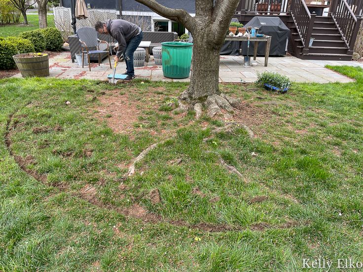 a man is digging in the grass near a tree