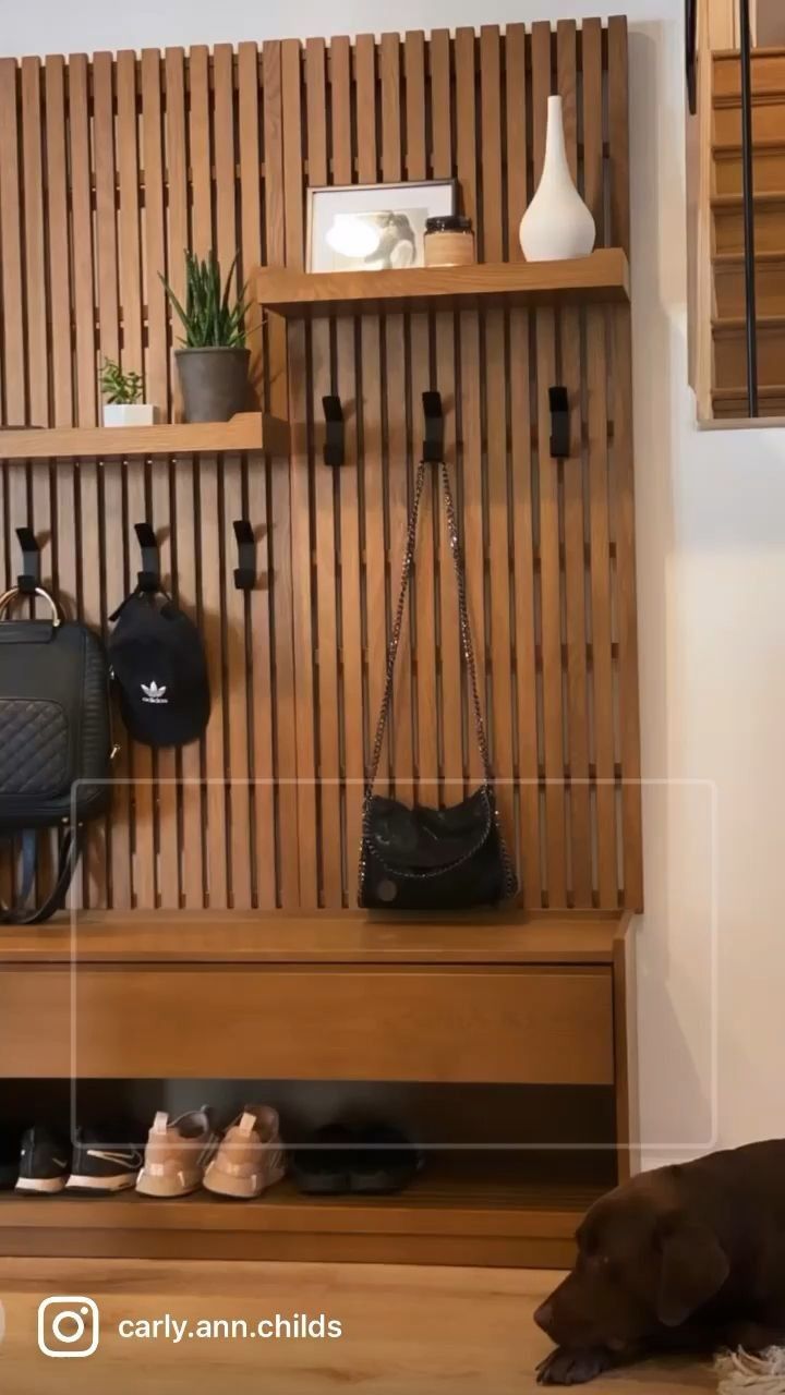 a dog laying on the floor in front of a wall with shoes and purses